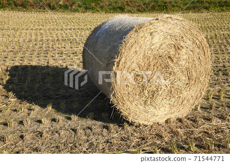 Rice straw roll Rice straw roll 71544771