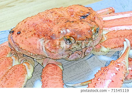 "Steamed pine needle crab" from Sakaiminato, Tottori prefecture cooked at home Colored pencil drawing style 71545119