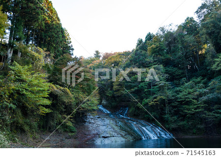(Chiba Prefecture-Landscape) Scenery of Yoro Valley where autumn leaves have begun 3 71545163