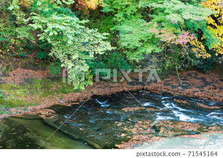 (Chiba Prefecture-Landscape) Scenery of Yoro Valley where autumn leaves have begun 2 (Chiba Prefecture-Landscape) Scenery of Yoro Valley where autumn leaves have begun 2 71545164