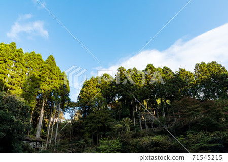 （千葉縣風景）秋葉開始的幽谷的風景7 71545215