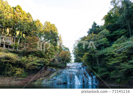 (Chiba Prefecture-Landscape) Scenery of Yoro Valley where autumn leaves have begun 6 (Chiba Prefecture-Landscape) Scenery of Yoro Valley where autumn leaves have begun 6 71545216