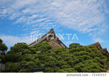 Nijo Castle Ninomaru Palace Roof and Pine Nijo Castle Ninomaru Palace Roof and Pine 71545557