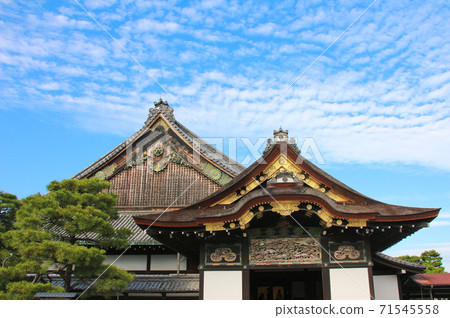 Nijo Castle Ninomaru Gotemba 71545558