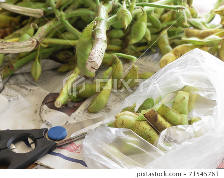 丹波筱山黑豆的製備 丹波筱山黑豆的製備 71545761