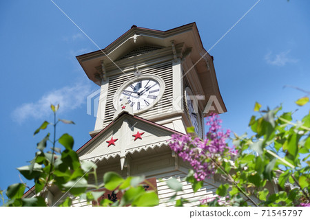 Blue sky, lilac and clock tower / Sapporo, Hokkaido Blue sky, lilac and clock tower / Sapporo, Hokkaido 71545797
