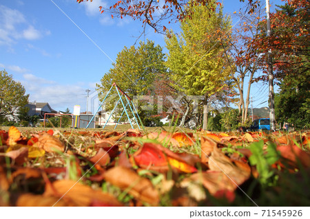 Image of autumn (park with nobody where fallen leaves are scattered) 71545926