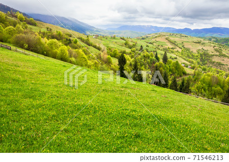 green meadows of mountainous countryside. cloudy weather in springtime. ridge in the distance. beauty of rural landscape green meadows of mountainous countryside. cloudy weather in springtime. ridge in the distance. beauty of rural landscape 71546213