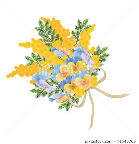 含羞草和三色堇花束 插圖素材 圖庫