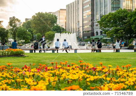 Scenery of Odori Park / Sightseeing image of Sapporo City, Hokkaido 71546789
