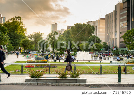 Scenery of Odori Park / Sightseeing image of Sapporo City, Hokkaido 71546790