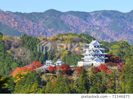 Gujo Hachiman Castle in autumn Gujo Hachiman Castle in autumn 71546875
