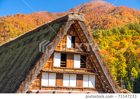 《岐阜縣》秋白川鄉秋葉合掌祖里村 71547233