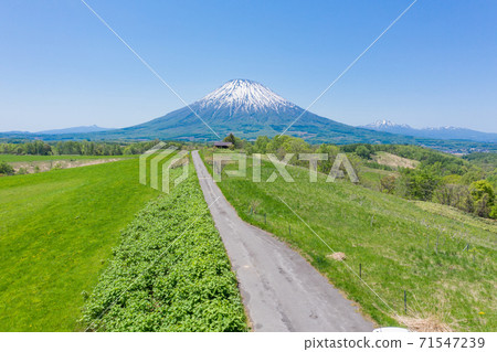 Drone aerial view, landscape of Niseko's vast land and Mt. Yotei / Hokkaido Niseko area Drone aerial view, landscape of Niseko's vast land and Mt. Yotei / Hokkaido Niseko area 71547239