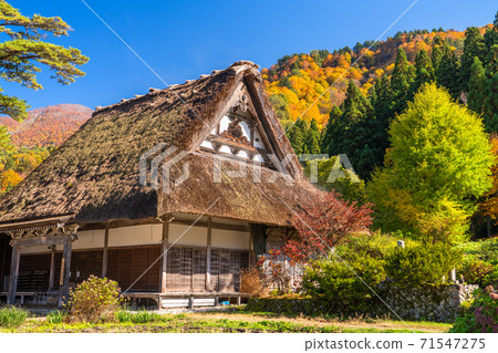 《岐阜縣》秋白川鄉秋葉合掌祖里村 71547275
