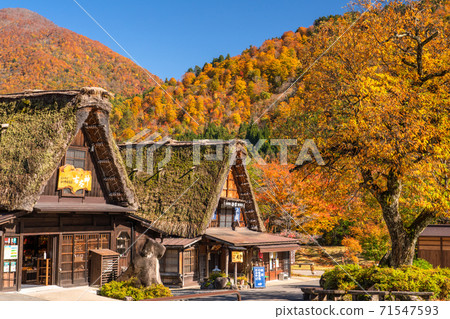 《岐阜縣》秋白川鄉秋葉合掌祖里村 《岐阜縣》秋白川鄉秋葉合掌祖里村 71547593