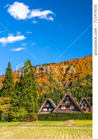 《岐阜縣》秋白川鄉秋葉合掌祖里村 71547650