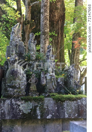 四國佛88號門票“Okuboji”石佛在該區 四國佛88號門票“Okuboji”石佛在該區 71547668