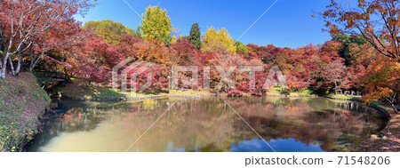 洋作公園秋天的落葉 洋作公園秋天的落葉 71548206