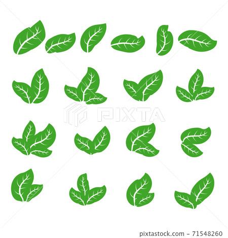 green leaf icons set on white background green leaf icons set on white background 71548260