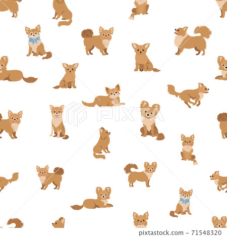 Chihuahua seamless pattern. Dog healthy silhouette and different poses background 71548320
