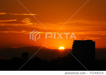 東京鎮在黃昏 71548514