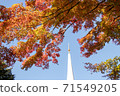 Mt. Takao stupa and autumn leaves 71549205