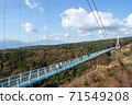 Mt. Fuji and Mishima Sky Walk 71549208