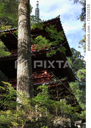 榛名神社三重塔 榛名神社三重塔 71550250