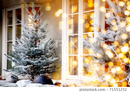 snowy firs in front of a window snowy firs in front of a window 71551252