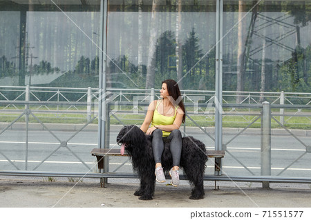 Woman and black long-haired briard sit on tram stop and wait for public transport. Woman and black long-haired briard sit on tram stop and wait for public transport. 71551577