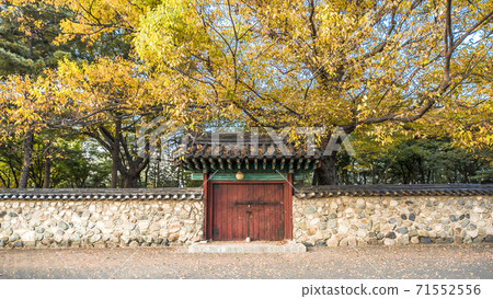 100000000億週hwangri dangil 71552556