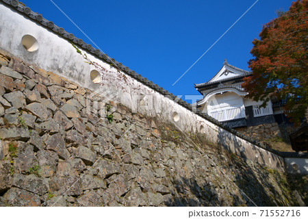 [日本100座著名的城堡]美中松山城堡，秋天的藍天和土牆，以及岡山縣田中市現存的日本最重要文化財產的城堡塔 71552716