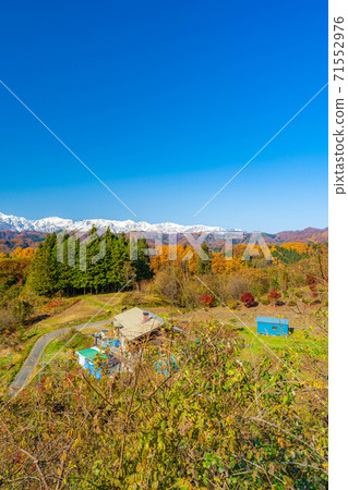 從小川村[長野縣]看北阿爾卑斯山的三層秋葉 71552976