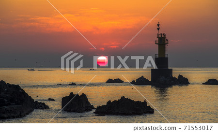 慶州金浦松大寶石燈塔 71553017