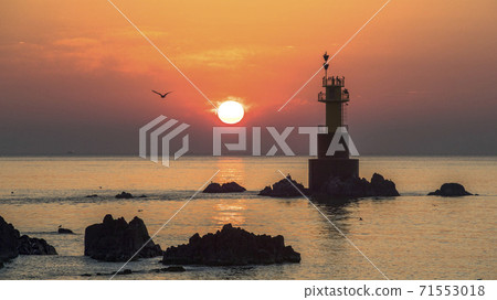 慶州金浦松大寶石燈塔 71553018