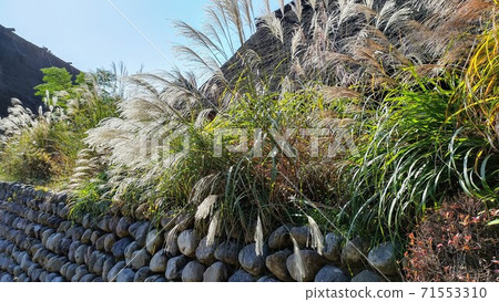 石垣和Susuki 71553310