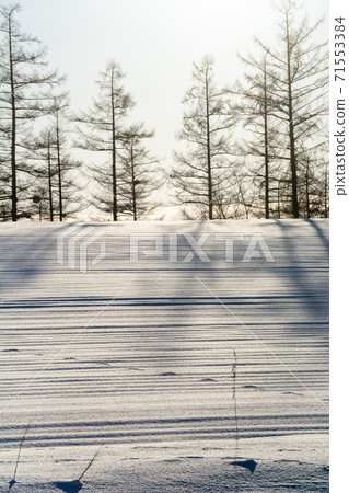 雪地陰影和野生動物足跡 照片素材 圖片 圖庫