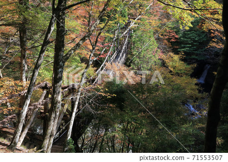 德島縣三好市奧伊谷地區的“奧伊谷雙重Kazura橋”的人橋 71553507