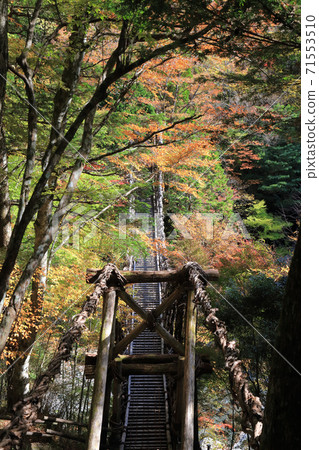 德島縣三好市奧伊谷地區的“奧伊谷雙重Kazura橋”的人橋 71553510