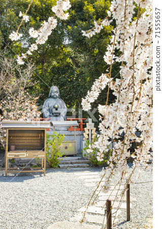 Senbon Shakado Daihoonji Okamezuka和Okamezakura 71555657