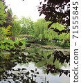 Monet's Garden, Giverny, Water Garden 08 71555845