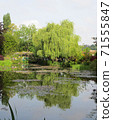 Monet's Garden, Giverny, Water Garden 10 71555847