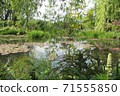 Monet's Garden, Giverny, Water Garden 03 71555850