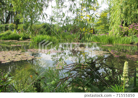 Monet's Garden, Giverny, Water Garden 03 Monet's Garden, Giverny, Water Garden 03 71555850