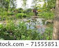 Monet's Garden, Giverny, Water Garden 04 71555851