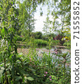 Monet's Garden, Giverny, Water Garden 05 71555852