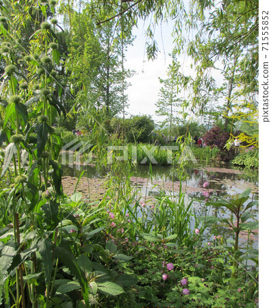 莫奈花園,吉伯尼,水上花園05 莫奈花園,吉伯尼,水上花園05 71555852