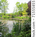 Monet's Garden, Giverny, Water Garden 07 71555855