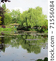 Monet's Garden, Giverny, Water Garden 12 71556084